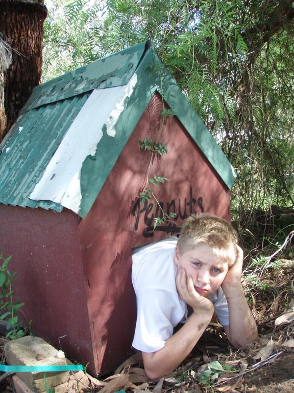 Kurrajong Trails & Cottages Wheeny Creek Kültér fotó