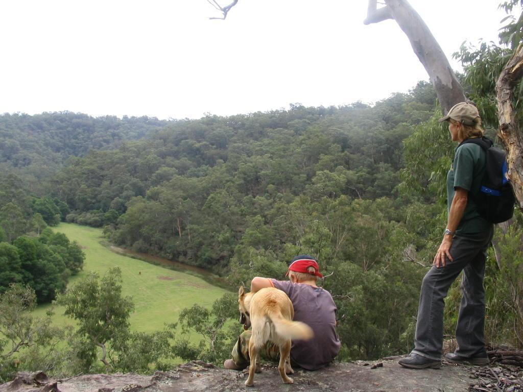 Kurrajong Trails & Cottages Wheeny Creek Kültér fotó