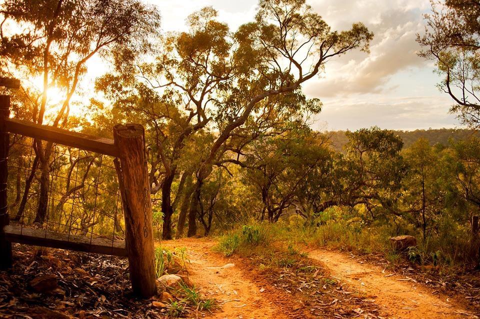 Kurrajong Trails & Cottages Wheeny Creek Kültér fotó