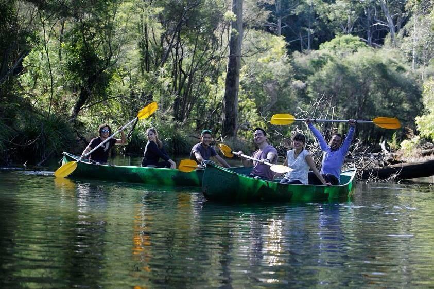 Kurrajong Trails & Cottages Wheeny Creek Kültér fotó