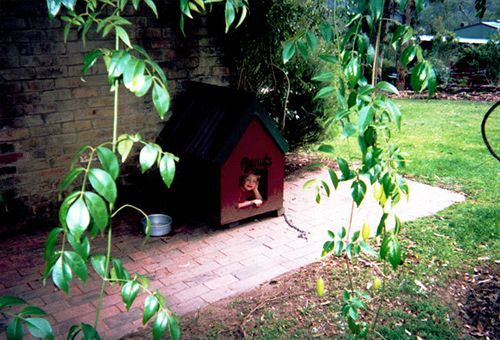 Kurrajong Trails & Cottages Wheeny Creek Kültér fotó