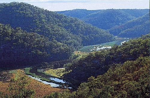 Kurrajong Trails & Cottages Wheeny Creek Kültér fotó